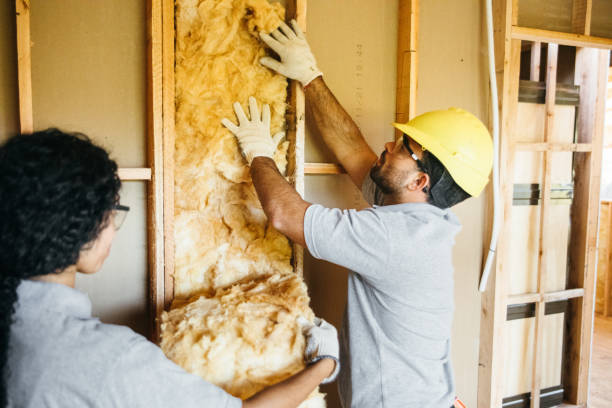 Professional Insulation in Hughesville, MD